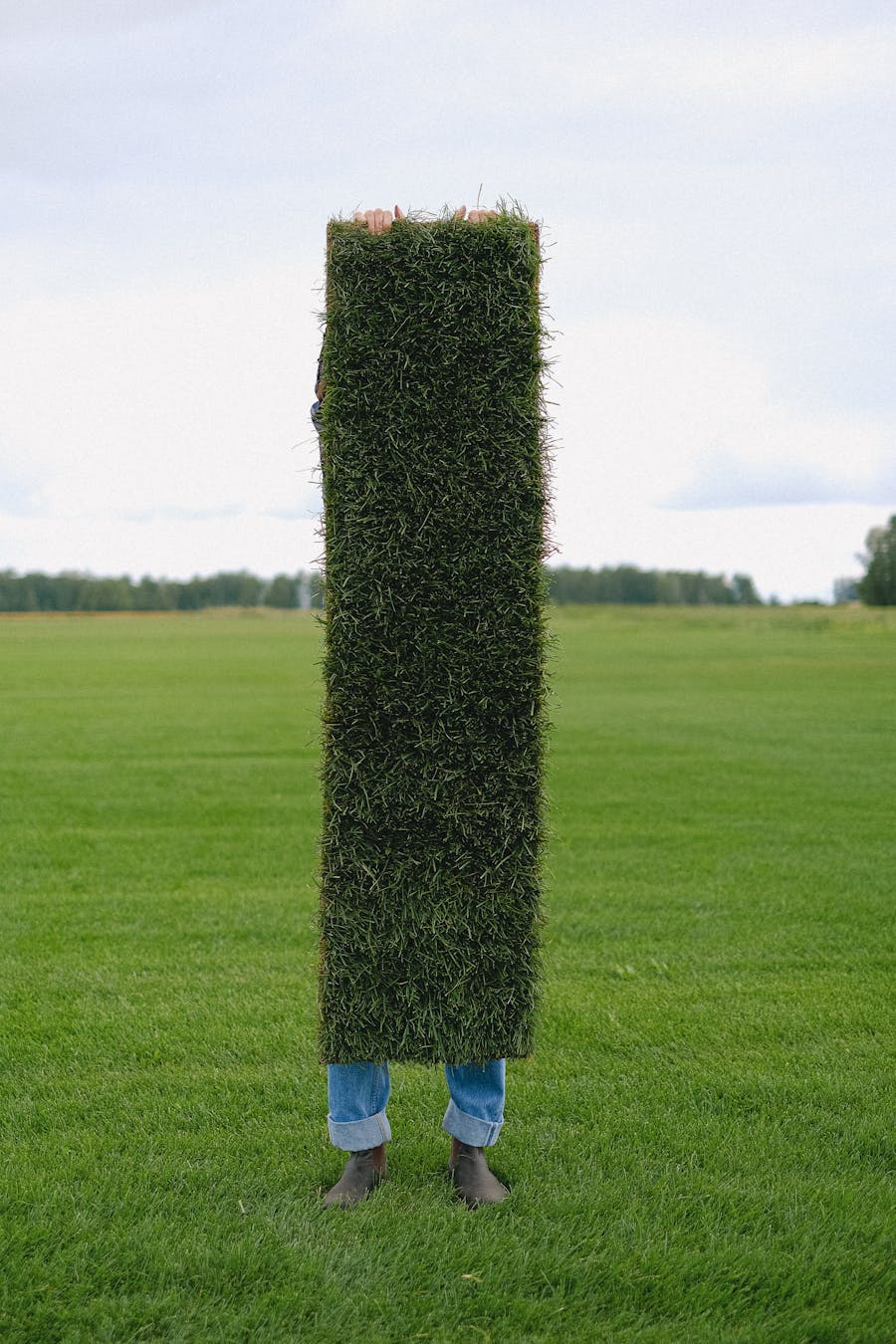 Freshly laid turf rolls